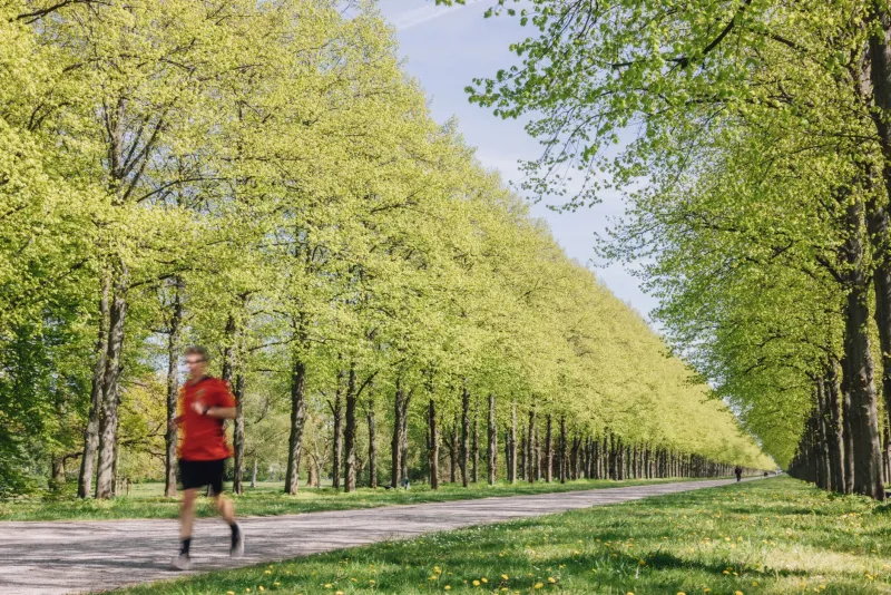Fünf Gewohnheiten, die den Frühling 2025 prägen – und wie du sie wirklich lebst